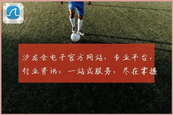 沙龙会电子官方网站，专业平台，行业资讯，一站式服务，尽在掌握，体验非凡