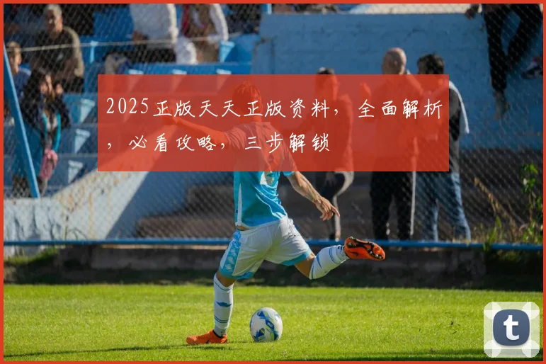 2025正版天天正版资料，全面解析，必看攻略，三步解锁