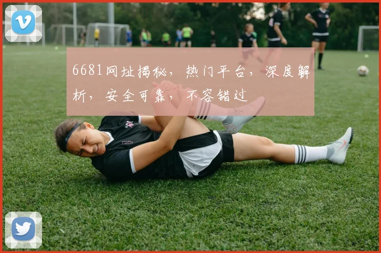6681网址揭秘，热门平台，深度解析，安全可靠，不容错过